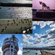 ヒメ日記 2025/02/19 19:19 投稿 小島 モアグループ大宮人妻花壇