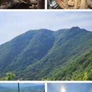 ヒメ日記 2025/09/03 21:30 投稿 小島 モアグループ大宮人妻花壇