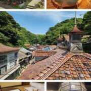 ヒメ日記 2025/09/17 21:12 投稿 小島 モアグループ大宮人妻花壇