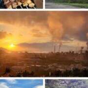 ヒメ日記 2025/11/01 18:33 投稿 小島 モアグループ大宮人妻花壇