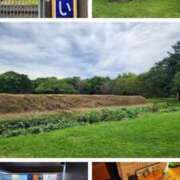 ヒメ日記 2025/11/26 21:33 投稿 小島 モアグループ大宮人妻花壇