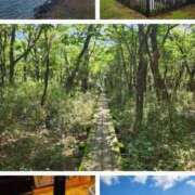 ヒメ日記 2025/12/09 21:18 投稿 小島 モアグループ大宮人妻花壇