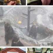 ヒメ日記 2025/12/20 22:03 投稿 小島 モアグループ大宮人妻花壇