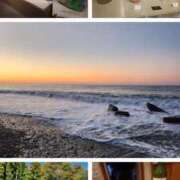 ヒメ日記 2026/01/10 21:18 投稿 小島 モアグループ大宮人妻花壇