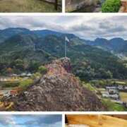 小島 【九州・肥薩おれんじ鉄道の旅②】 モアグループ大宮人妻花壇