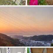 小島 【九州・肥薩おれんじ鉄道の旅③】 モアグループ大宮人妻花壇