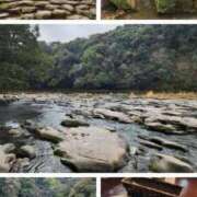 小島 【早春、宮崎@都城の旅②】 モアグループ大宮人妻花壇