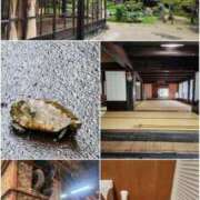 ヒメ日記 2026/09/23 21:21 投稿 小島 モアグループ大宮人妻花壇