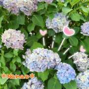 ヒメ日記 2025/06/26 16:09 投稿 菜々緒 モアグループ大宮人妻花壇