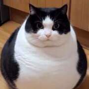 ヒメ日記 2024/12/29 16:14 投稿 ゆいな 熟女の風俗最終章 仙台店