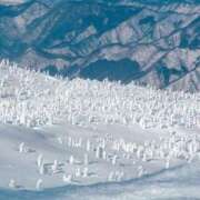 ヒメ日記 2025/02/15 17:04 投稿 ゆいな 熟女の風俗最終章 仙台店