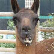 ヒメ日記 2025/03/09 15:04 投稿 ゆいな 熟女の風俗最終章 仙台店