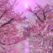 ヒメ日記 2025/03/27 13:16 投稿 ゆいな 熟女の風俗最終章 仙台店