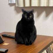 ヒメ日記 2025/04/09 13:44 投稿 ゆいな 熟女の風俗最終章 仙台店