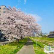 ヒメ日記 2025/04/22 19:07 投稿 ゆいな 熟女の風俗最終章 仙台店