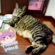 ヒメ日記 2025/08/02 21:45 投稿 みどり 池袋夢幻