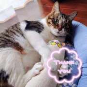 ヒメ日記 2025/11/15 20:45 投稿 みどり 池袋夢幻