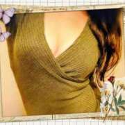 ヒメ日記 2025/11/18 08:24 投稿 みどり 池袋夢幻