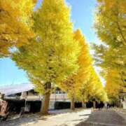 ヒメ日記 2025/11/21 20:25 投稿 みどり 池袋夢幻