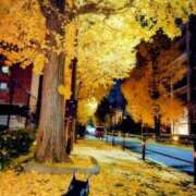 ヒメ日記 2025/11/26 20:35 投稿 みどり 池袋夢幻