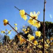 ヒメ日記 2026/01/08 21:35 投稿 みどり 池袋夢幻