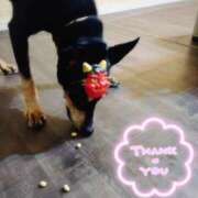 ヒメ日記 2026/02/03 20:55 投稿 みどり 池袋夢幻