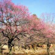 ヒメ日記 2026/02/05 20:55 投稿 みどり 池袋夢幻