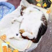 ヒメ日記 2026/02/11 20:45 投稿 みどり 池袋夢幻