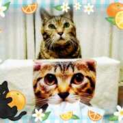 ヒメ日記 2026/02/22 21:55 投稿 みどり 池袋夢幻