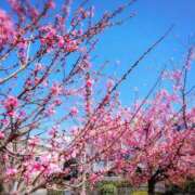 ヒメ日記 2026/03/04 21:05 投稿 みどり 池袋夢幻