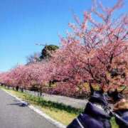 ヒメ日記 2026/03/08 21:25 投稿 みどり 池袋夢幻