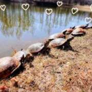 ヒメ日記 2026/03/18 21:05 投稿 みどり 池袋夢幻