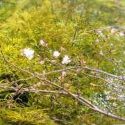 ヒメ日記 2026/03/19 20:55 投稿 みどり 池袋夢幻