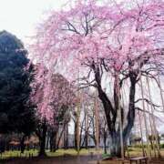 ヒメ日記 2026/03/22 22:45 投稿 みどり 池袋夢幻