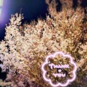 ヒメ日記 2026/03/24 22:25 投稿 みどり 池袋夢幻