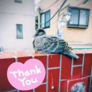 ヒメ日記 2026/03/31 22:06 投稿 みどり 池袋夢幻