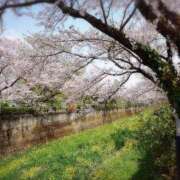 ヒメ日記 2026/04/03 21:25 投稿 みどり 池袋夢幻