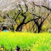 ヒメ日記 2026/04/05 22:05 投稿 みどり 池袋夢幻