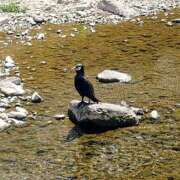 ヒメ日記 2026/04/08 21:05 投稿 みどり 池袋夢幻