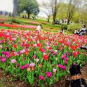 ヒメ日記 2026/04/09 20:25 投稿 みどり 池袋夢幻