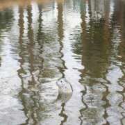 ヒメ日記 2026/04/15 20:58 投稿 みどり 池袋夢幻