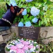 みどり 明日から！ 池袋夢幻