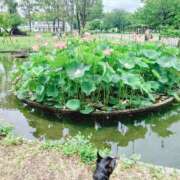 ヒメ日記 2026/06/21 21:35 投稿 みどり 池袋夢幻