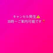 ヒメ日記 2025/03/21 10:27 投稿 みずは 変態なんでも鑑定団