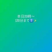 ヒメ日記 2025/06/27 09:46 投稿 みずは 変態なんでも鑑定団