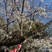 ヒメ日記 2026/03/24 15:26 投稿 みずは 変態なんでも鑑定団