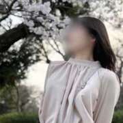 ヒメ日記 2026/04/02 22:16 投稿 みずは 変態なんでも鑑定団