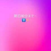 ヒメ日記 2026/06/14 20:36 投稿 みずは 変態なんでも鑑定団