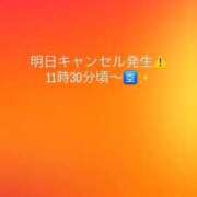 みずは 明日キャンセル発生⚠️ 変態なんでも鑑定団