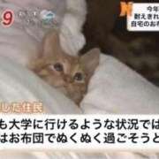 ヒメ日記 2025/01/16 10:47 投稿 にこ スピード日本橋店